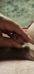 Im Here : 6 Nude Pics