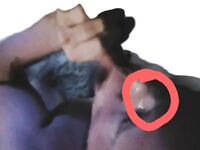 Sperma im Gesicht: 1 Nude Pics