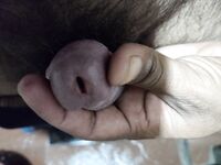 My self: 4 Nude Pics