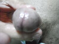 Playing with my penis for you: 14 Nude Pics