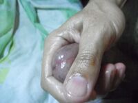 Playing with my penis for you: 14 Nude Pics