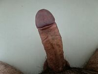 Vuoi giocare con il mio cazzo: 1 Nude Pics