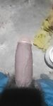 My horny dick is waiting for u : 6 Nude Pics