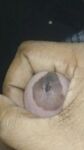 Big black men Cock : 9 Nude Pics