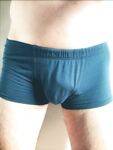 In underwear: 7 Nude Pics