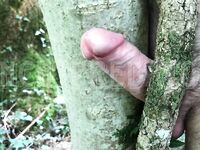 Tree fuck: 8 Nude Pics