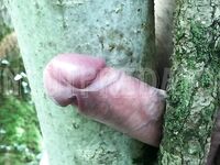 Tree fuck: 8 Nude Pics