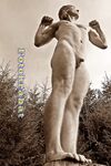 Model Andy Schenkel 152: 1 Nude Pics