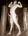 Model Andy Schenkel 128: 1 Nude Pics