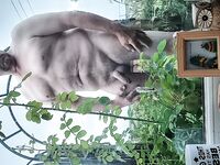 Morning stroll : 6 Nude Pics