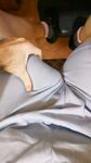 FOR MY XH-FRIENDS: 57 Nude Pics