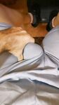 FOR MY XH-FRIENDS: 57 Nude Pics