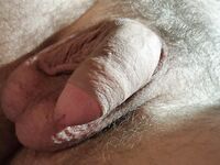 Meine Eier: 11 Nude Pics