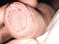 Cock : 12 Nude Pics