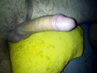 Dick Pics {Hairy}: 14 Nude Pics