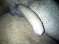Dick Pics {Hairy}: 14 Nude Pics