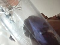 Part 3: 10 Nude Pics