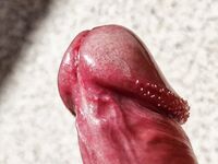Big Dick Glans Close up: 4 Nude Pics