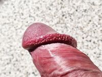 Big Dick Glans Close up: 4 Nude Pics