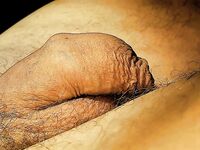 Naked truth: 32 Nude Pics