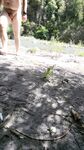 Bathing in creek: 44 Nude Pics