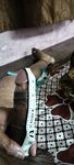 #Indian Pornstar Ravi have real 7 inch long dick: 17 Nude Pics