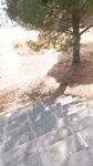 WALKING BIG COCK IN URBAN PARK: 47 Nude Pics