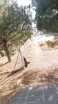 WALKING BIG COCK IN URBAN PARK: 47 Nude Pics