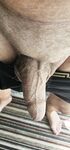 Shaved Big Dick & Balls: 5 Nude Pics