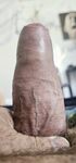 Shaved Big Dick & Balls: 5 Nude Pics