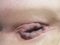 My gaping hole: 20 Nude Pics