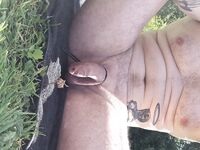 Uncut cock enjoying the sun in nature: 7 Nude Pics