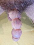 Banded my cock to a huge worm: 16 Nude Pics
