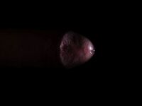 Arty Dick Pics with Precum: 5 Nude Pics
