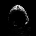 Arty Dick Pics with Precum: 5 Nude Pics