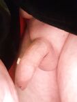 Just my soft cock good morning : 7 Nude Pics