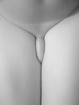 Artsy nudes 2: 116 Nude Pics