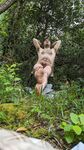 Wanking in the woods: 26 Nude Pics