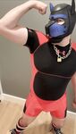 Do you like beefy pups in gear?: 8 Nude Pics