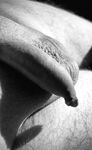 Q1/2023: 36 Nude Pics