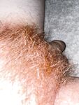 Hairy ginger cock: 15 Nude Pics