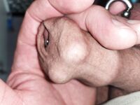 Mein schwanz : 18 Nude Pics