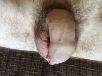 My dick: 26 Nude Pics