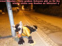 Nussija (new version): 33 Nude Pics
