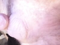 Spun n horny: 19 Nude Pics