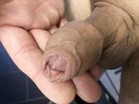 Mein Schwanz: 17 Nude Pics