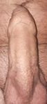 Cock : 8 Nude Pics