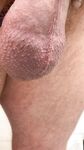 Compilation of uncut cock pics: 129 Nude Pics