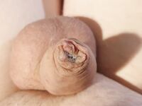Pullerwichsi: 13 Nude Pics