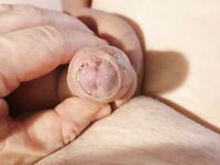 Pullerwichsi: 13 Nude Pics